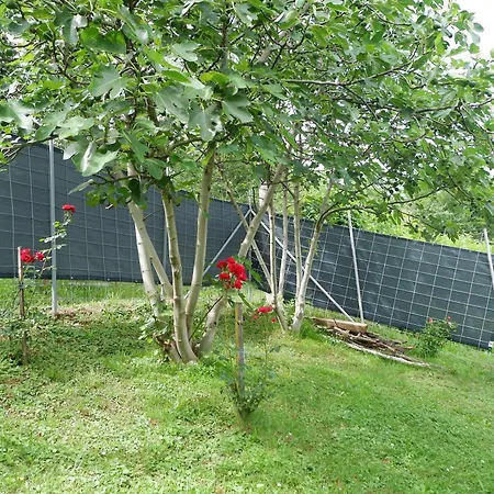 Bosnian Mountain Retreat 프리제도르