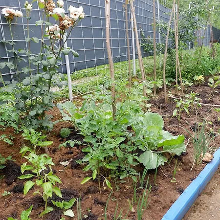 Bosnian Mountain Retreat 아파트 *