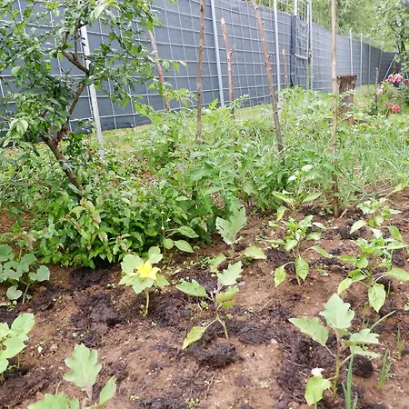 Bosnian Mountain Retreat Prijedor