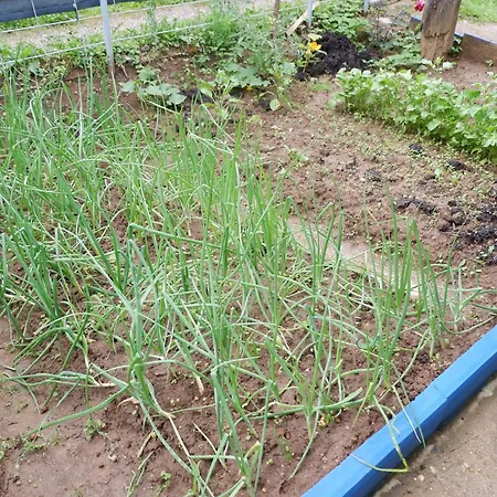 아파트 Bosnian Mountain Retreat 프리제도르