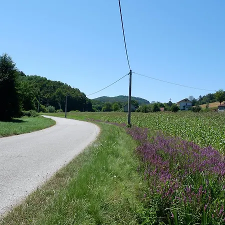 Apartment Bosnian Mountain Retreat *